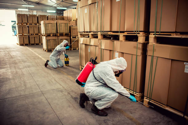Best Best Pest Control Companies  in Folly Beach, SC