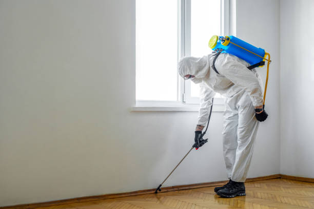 Best Insect Control  in Folly Beach, SC