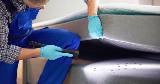 Best Mosquito Control Services  in Folly Beach, SC
