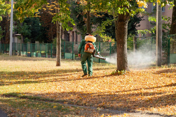 Best Commercial Pest Control Services  in Folly Beach, SC