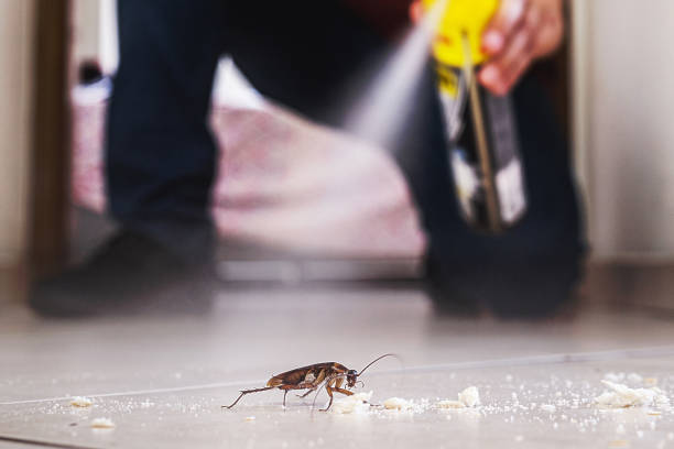 Pest Prevention Services in Folly Beach, SC