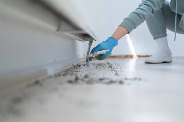  Folly Beach, SC Pest Control Pros