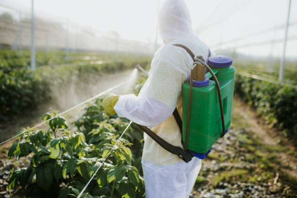 Best Cockroach Control Services  in Folly Beach, SC
